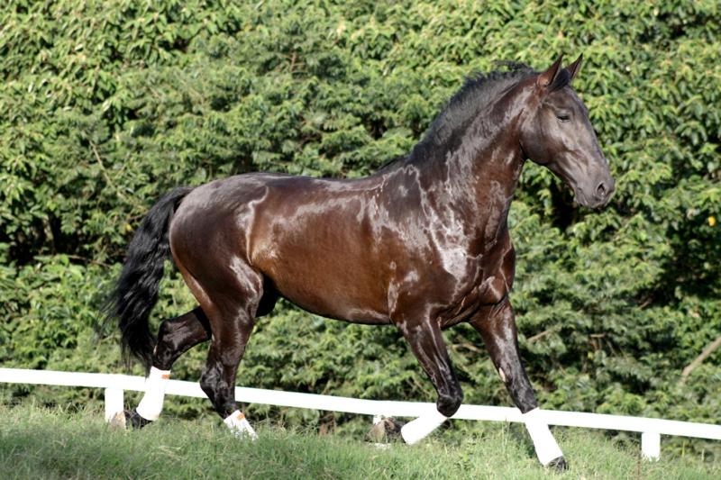 Отель Ladiv Ttá