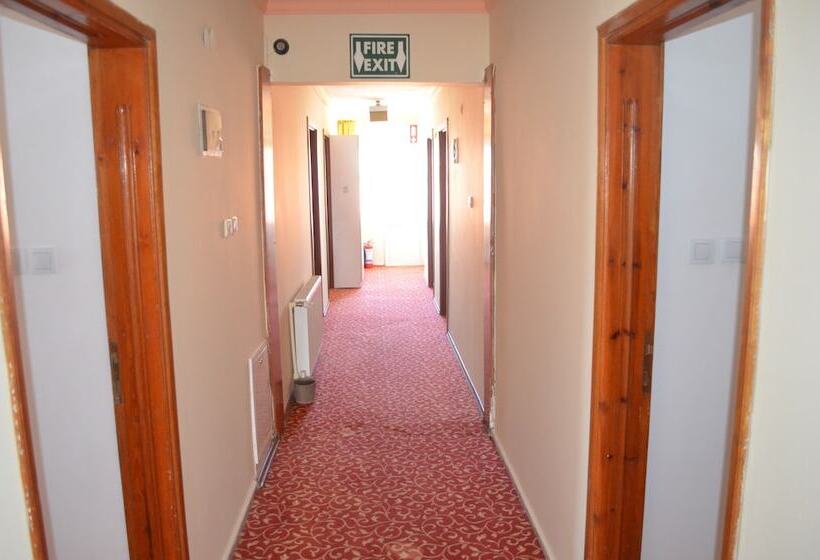 בית מלון כפרי Megas