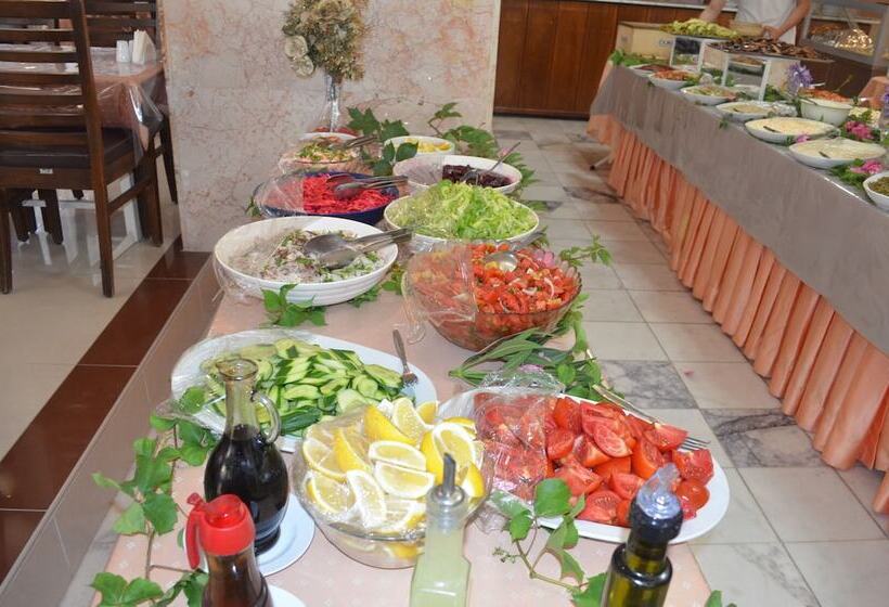 בית מלון כפרי Megas