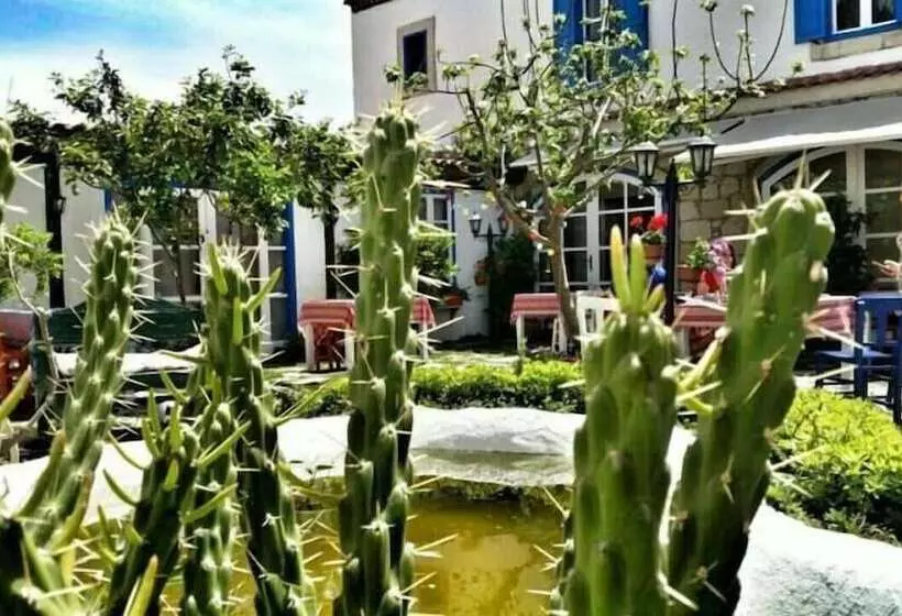 هتل Nish Alacati