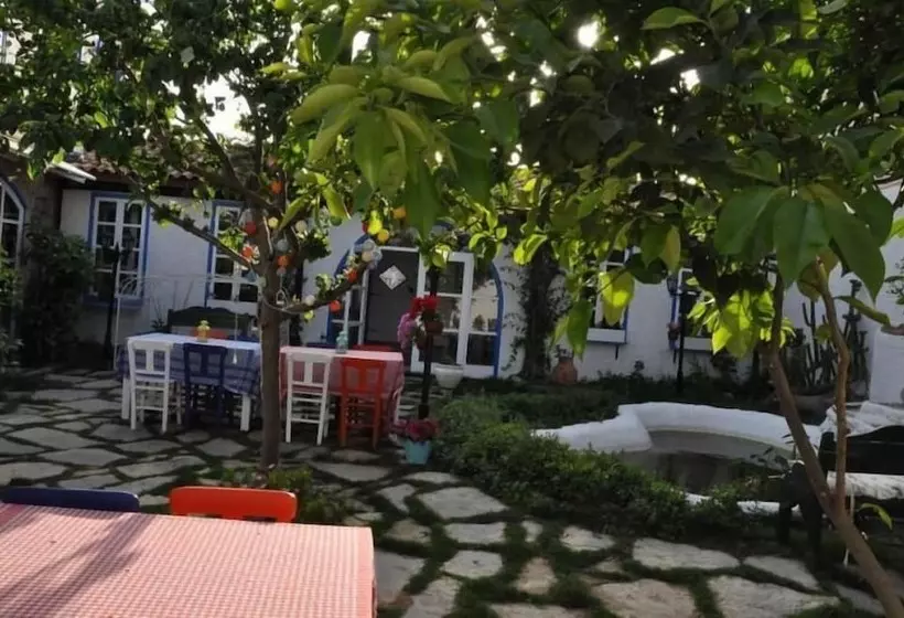 هتل Nish Alacati
