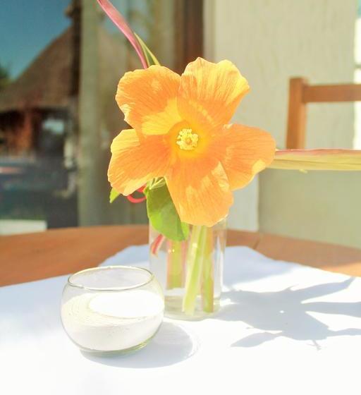 בית מלון כפרי Mayan Mittoz