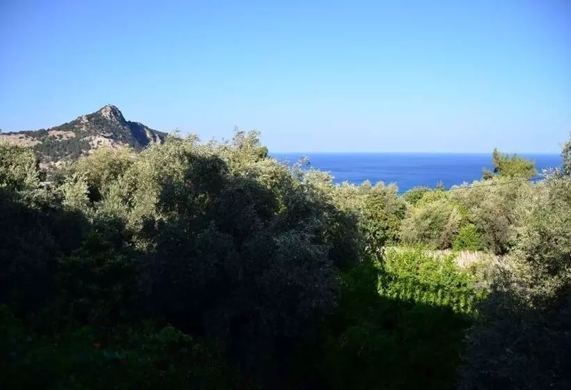 Panorama Studios