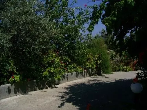 Panorama Studios