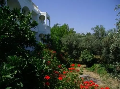 Panorama Studios