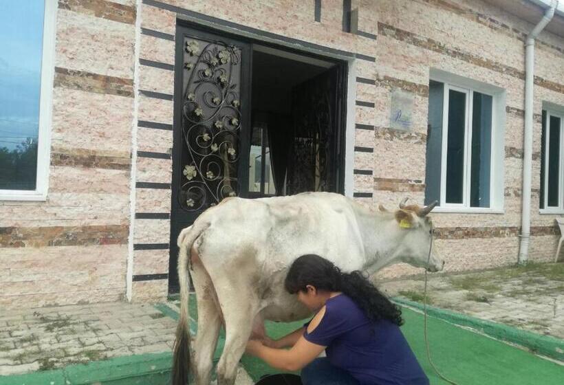 Paradise Investment Resort