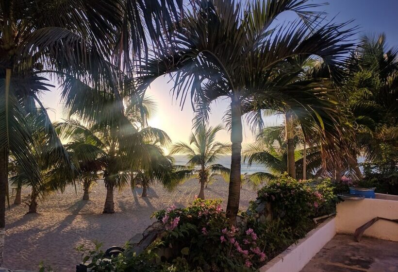 Aparta Hotel Caribe Paraiso