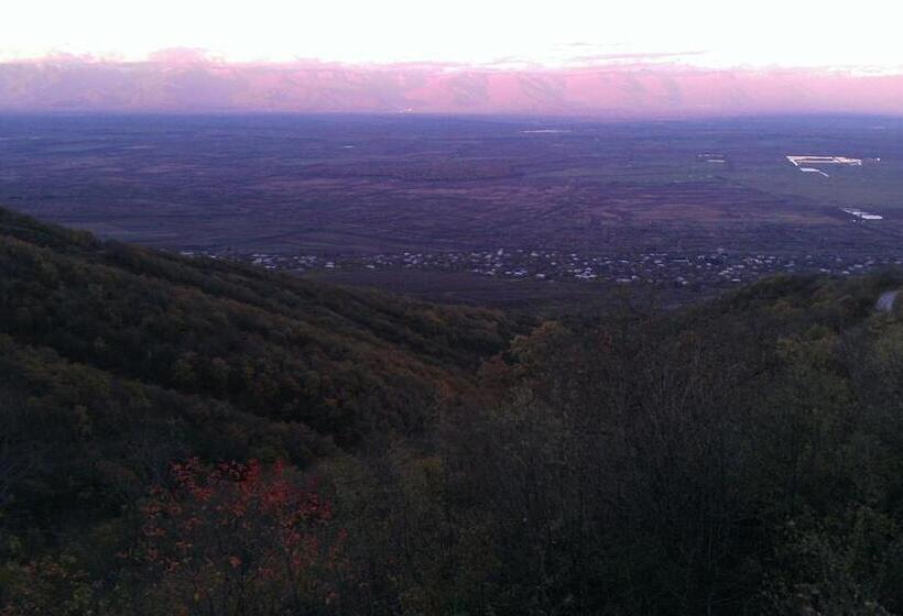 تختخواب و صبحانه Guest House Shota