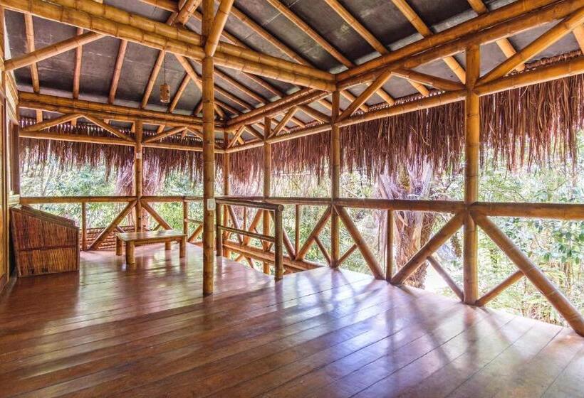 Universo Pol Bamboo Hostel