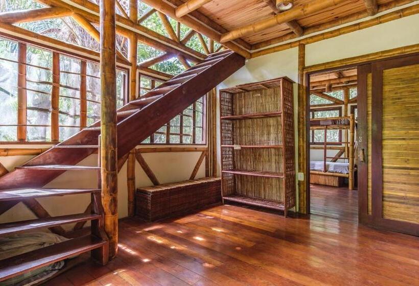 Universo Pol Bamboo Hostel