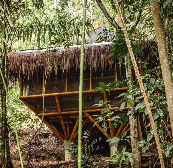 Universo Pol Bamboo Hostel