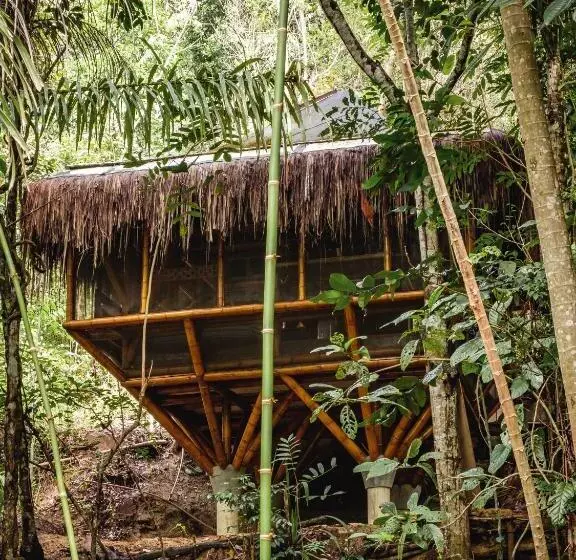 Universo Pol Bamboo Hostel