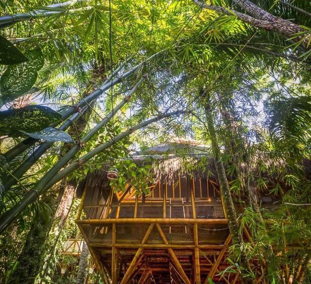 Universo Pol Bamboo Hostel