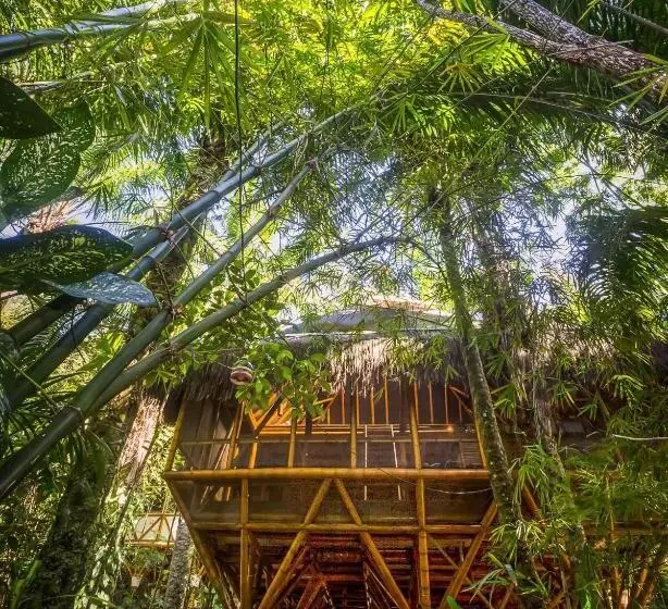 Universo Pol Bamboo Hostel