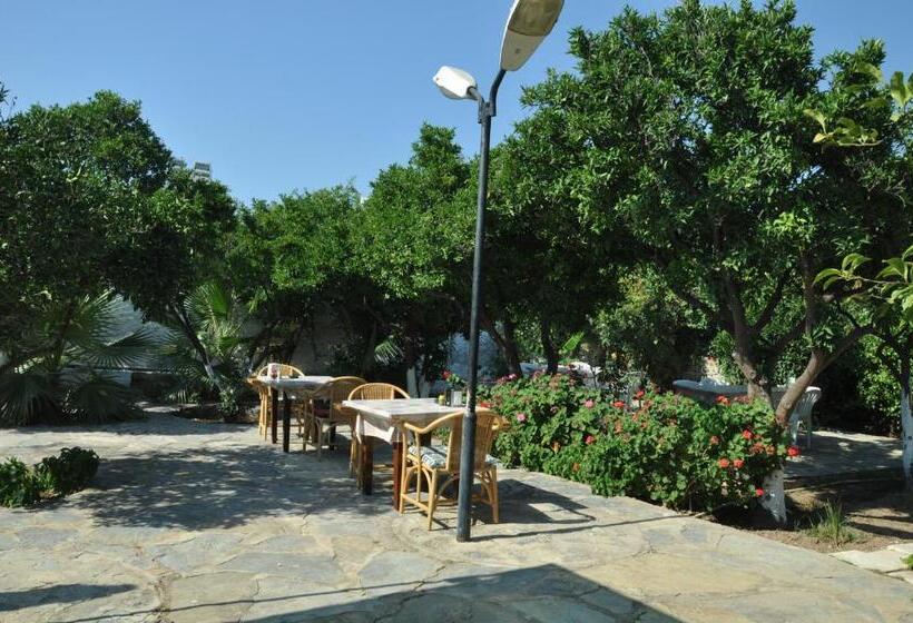 בית מלון כפרי Bodrum Blu