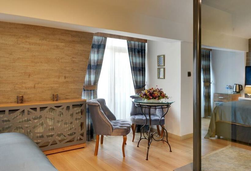 호텔 Grande Stella