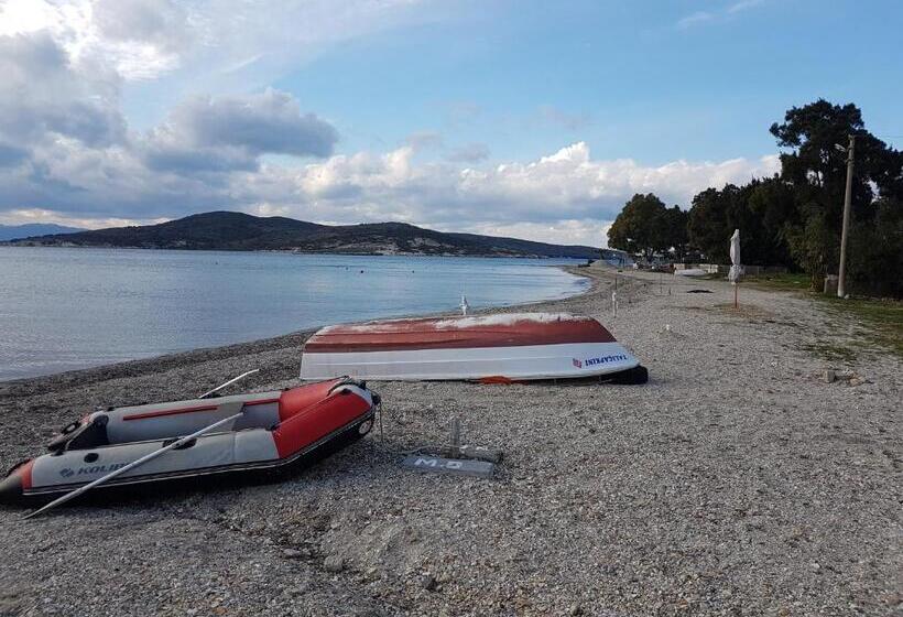 فندق Limon Pansiyon