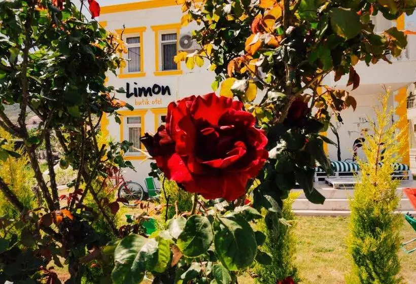 ホテル Limon Pansiyon