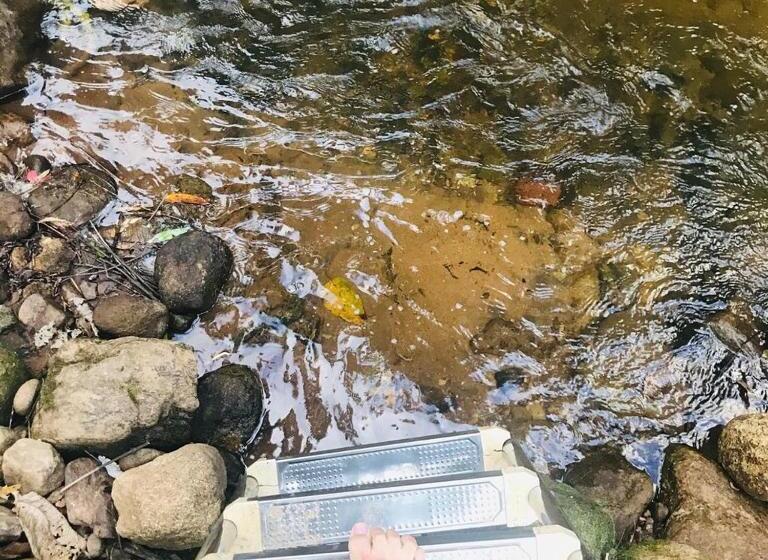 ベッドアンドブレックファースト Pousada Serraninhos