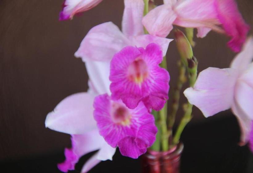 בית מלון כפרי Splendore