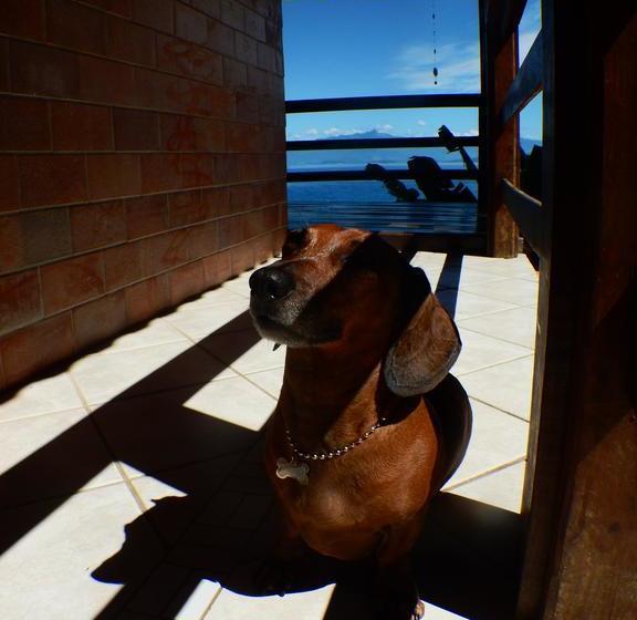 호스텔 Pousada Ilha Grande Araçatiba