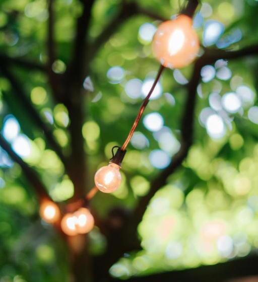 酒店 Pousada Fruta Pão