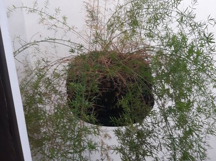 Szálloda Pousada Lymar