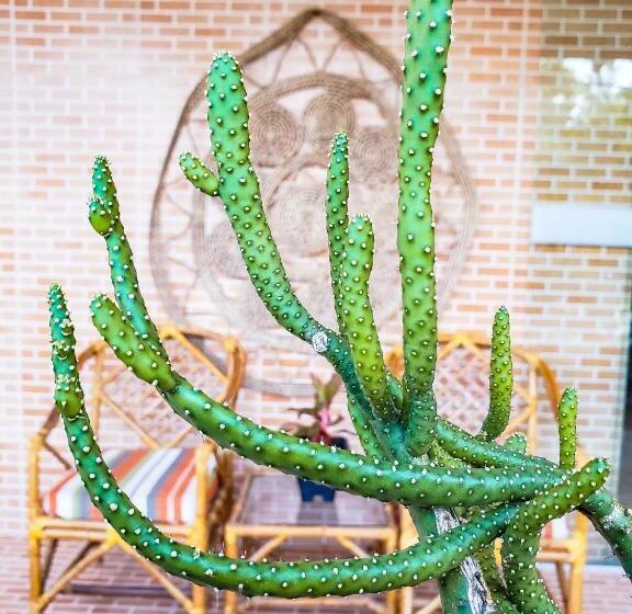 هتل Pousada Maresia Centro