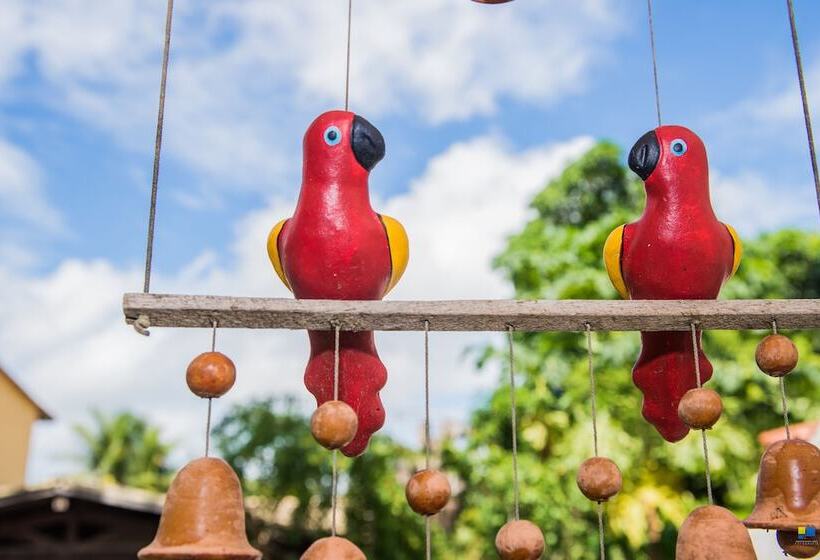 ホテル Pousada Tropicalia