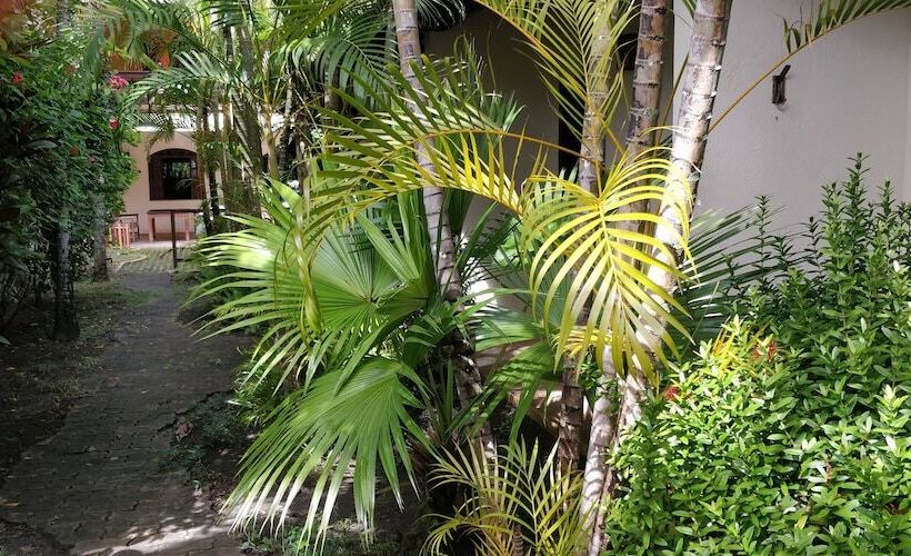 ホテル Pousada Tropicalia