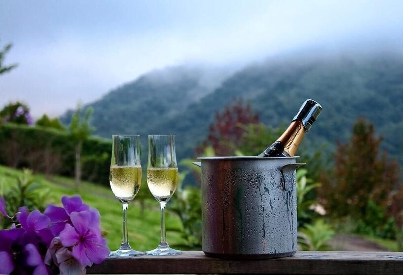 Maua Brasil Hotelaria