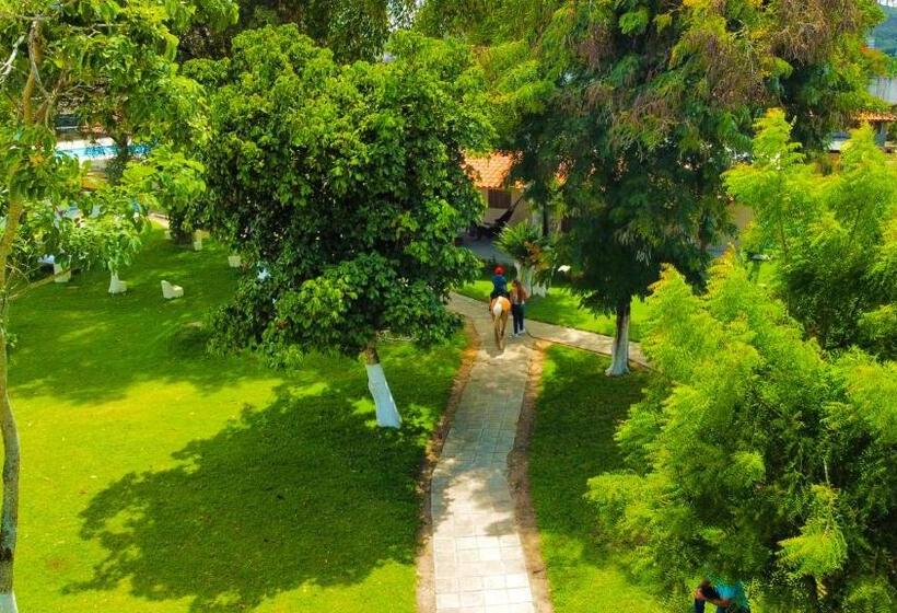 فندق Bonito Plaza