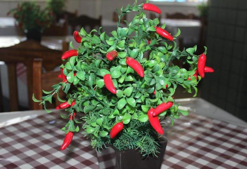 בית מלון כפרי Rey