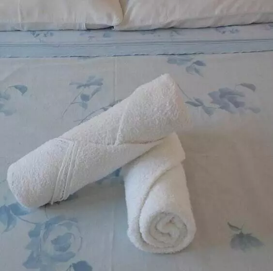 Hotelli Silveira