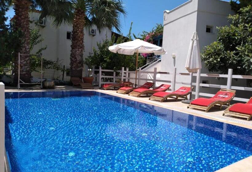 Bed and Breakfast Misket