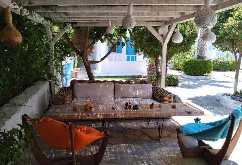 Bed and Breakfast Misket