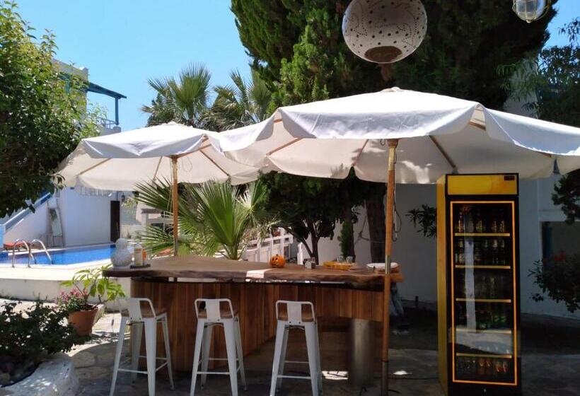 Bed and Breakfast Misket