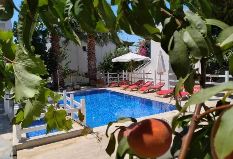 Aamiaismajoitus (B&B) Misket