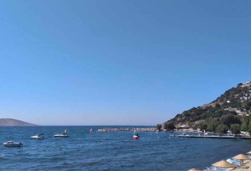 Bed and Breakfast Misket