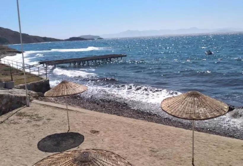 Aamiaismajoitus (B&B) Misket