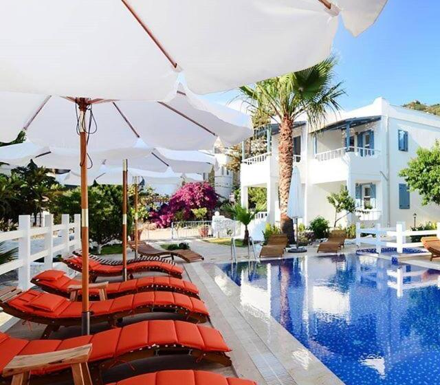 Bed and Breakfast Misket