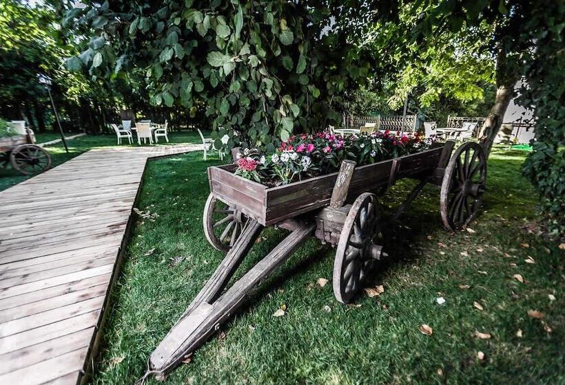 Отель My Green Boutique