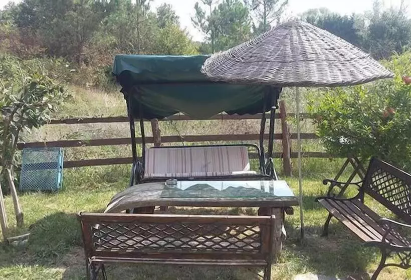 Kerpe Diem Otel