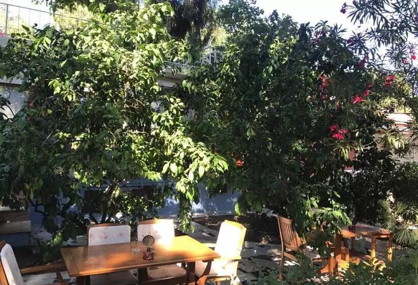 Pekcan Otel