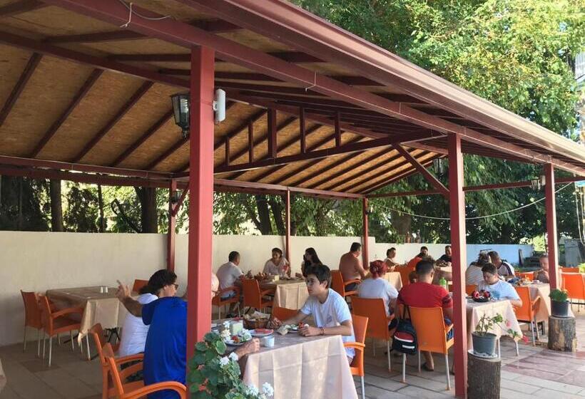 ホテル Dolphin Yunus