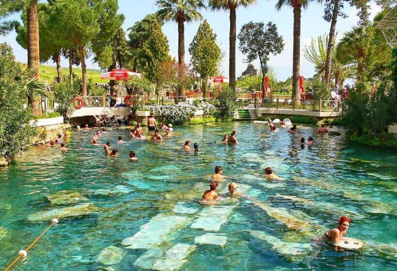 ホテル Dolphin Yunus