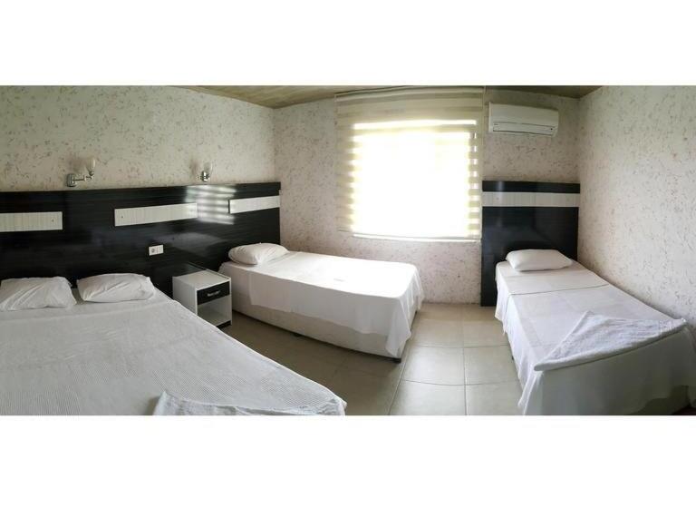 ホテル Dolphin Yunus