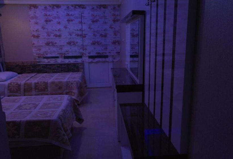 ホテル Dolphin Yunus