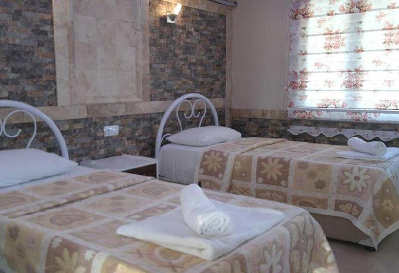 ホテル Dolphin Yunus