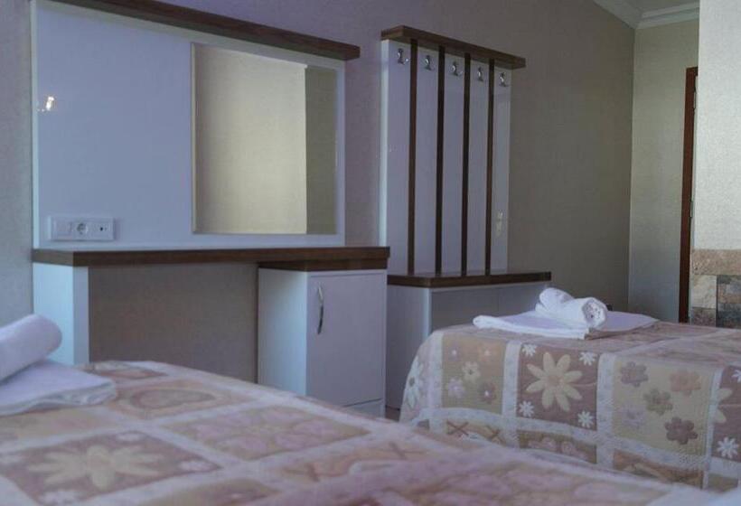 ホテル Dolphin Yunus